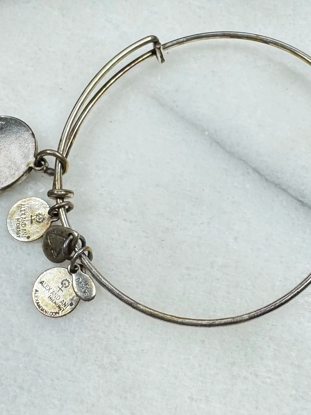 Alex and Ani Gold-Tone 'N' Monogram Charm Bangle